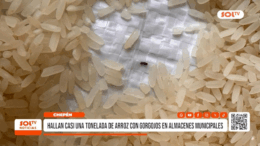 Descubren arroz con gorgojos en almacenes de Chepén Descubren arroz con gorgojos en almacenes de Chepén