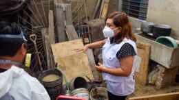 Cero muertes por dengue en La Libertad 2025: Logros y estrategias Cero muertes por dengue en La Libertad 2025: Logros y estrategias